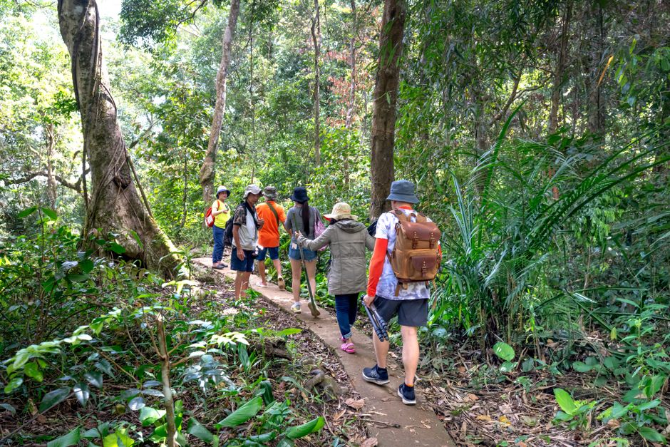 A diverse group of people hiking on a trail through a lush tropical forest with vibrant greenery.