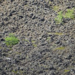 African Desert Landscapes: How to Plan Around Light and Distance African Desert Landscapes: How to Plan Around Light and Distance