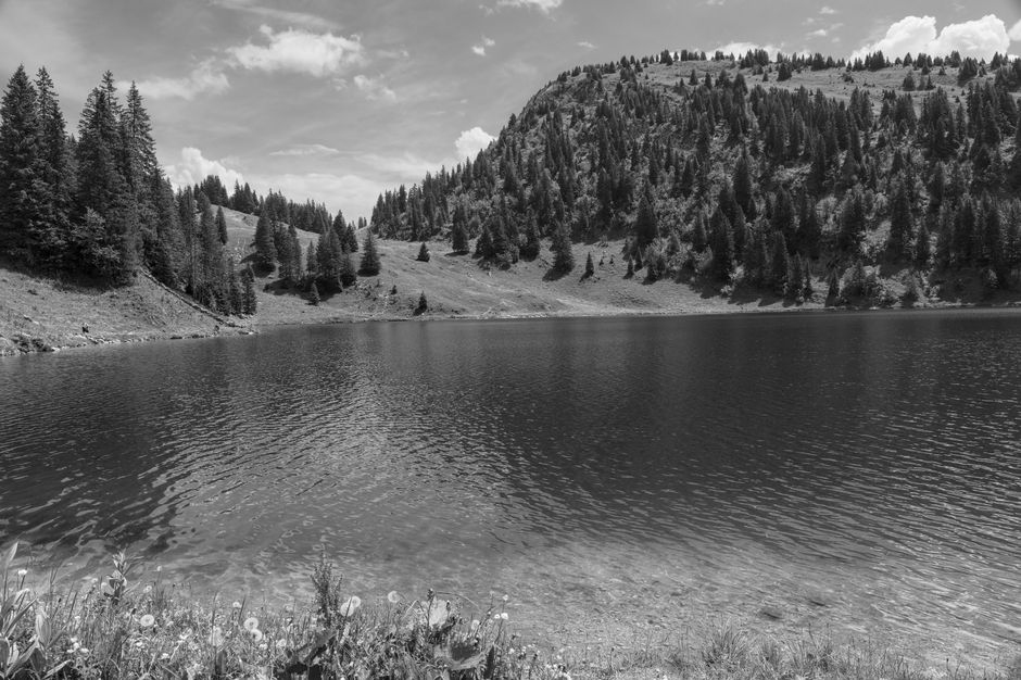 Serene black and white photo of a tranquil alpine lake surrounded by trees and hills.