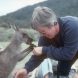 Australia Winter Coast Walks for Wildlife and Quiet Beaches