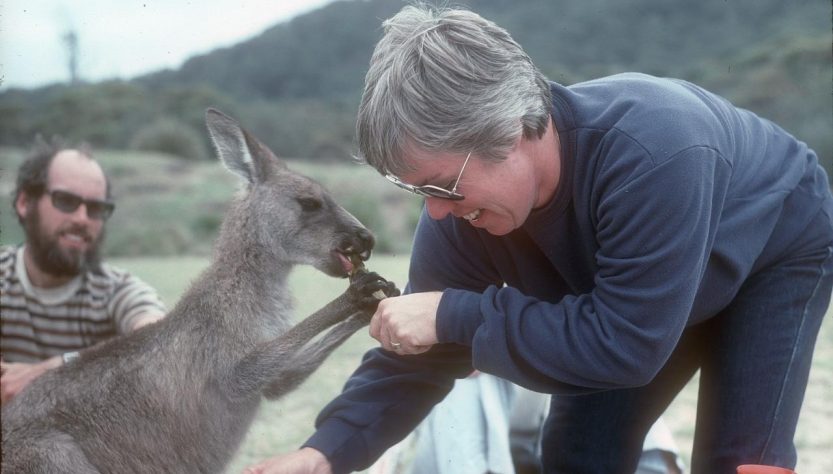 Australia Winter Coast Walks for Wildlife and Quiet Beaches