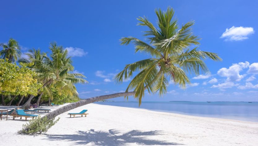 Best Time to Visit Rome: A Seasonal Guide for Weather and Crowds 2024