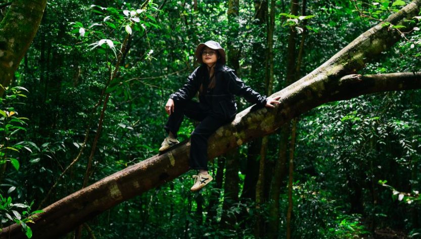 Borneo Rainforest Trip Planning for Sabah Wildlife