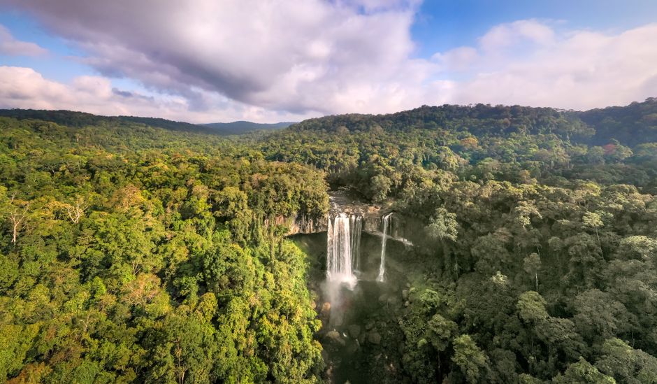 A breathtaking aerial shot of a vibrant green forest with a cascading waterfall.