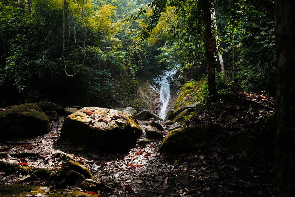 Explore the tranquil beauty of a hidden waterfall in Labis Forest Reserve, Johor, Malaysia.
