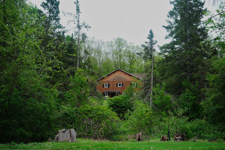 Charming treehouse nestled in lush Ontario forest, perfect nature escape.