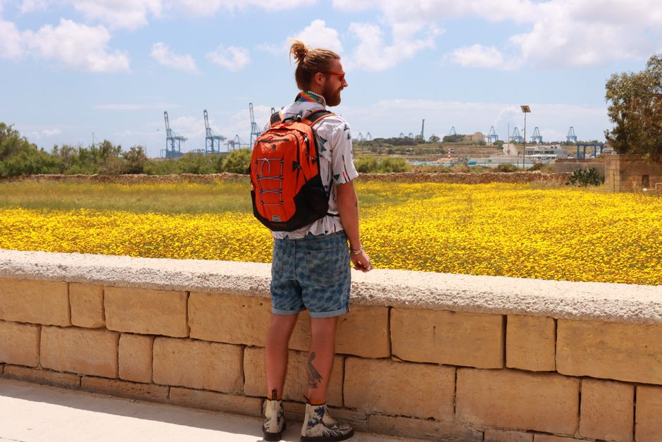 Back view of a traveler in Malta, admiring a bright yellow meadow under a sunny sky.