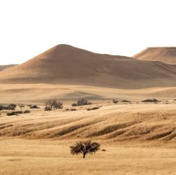 Namibia in May: Desert Landscapes and Wildlife