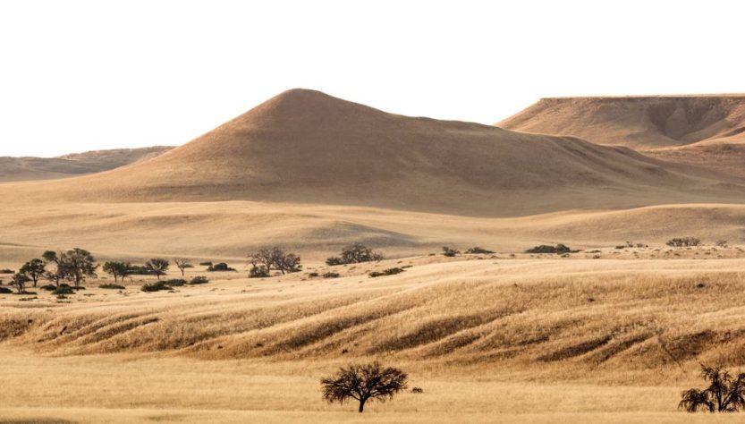 Namibia in May: Desert Landscapes and Wildlife Namibia in May: Desert Landscapes and Wildlife