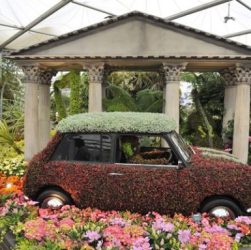 Top 5 Annual Tourist Attractions in London