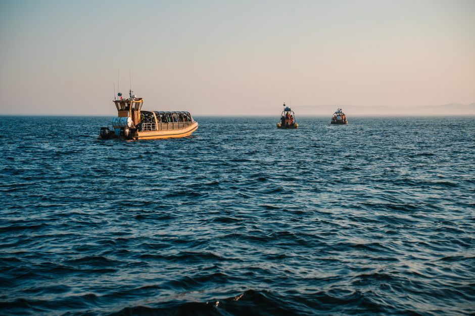 A serene view of whale watching boats in Tadoussac, Québec during sunset.