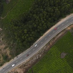 Kerala in the Cool Season: The Route That Works