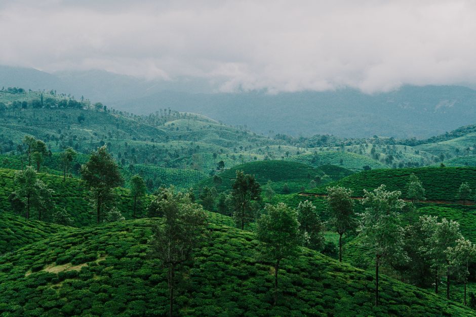 A scenic view of lush green hills with a misty mountain backdrop, evoking a tropical feel.