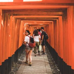 Kyoto Hidden Gems Itinerary: Skip the Golden Pavilion Herds Kyoto Hidden Gems Itinerary: Skip the Golden Pavilion Herds