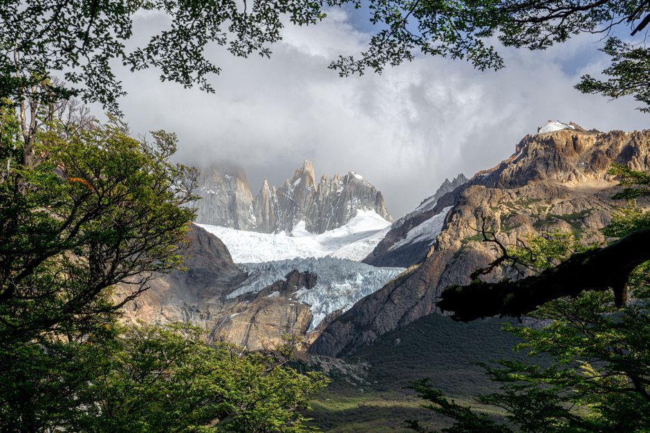 Breathtaking view of snowy mountain peaks and lush forest in natural scenery, perfect for nature lovers.