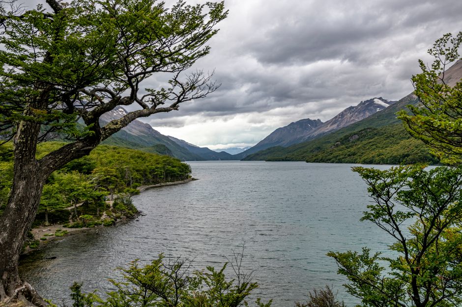 Picturesque view of Lago del Desierto in Patagonia, Argentina, surrounded by lush forests and majestic mountains.