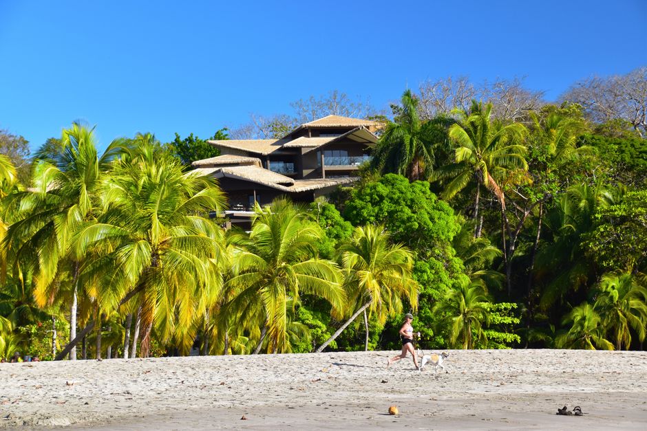 Scenic tropical beach with luxury mansion and lush palm trees under blue sky.