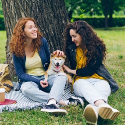 Pet-Friendly Vacation Rentals Us Cities: Pet-Friendly Rentals in US Cities: Skip the Fake Filters