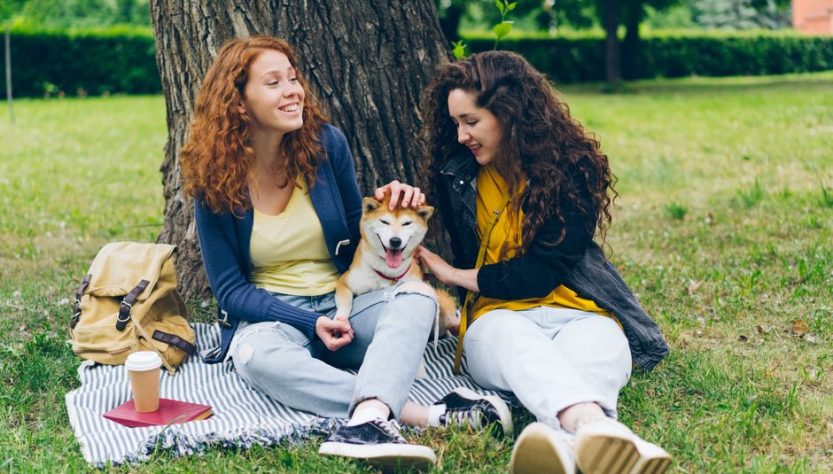Pet-Friendly Vacation Rentals Us Cities: Pet-Friendly Rentals in US Cities: Skip the Fake Filters Pet-Friendly Vacation Rentals Us Cities: Pet-Friendly Rentals in US Cities: Skip the Fake Filters