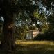 A Shacks Nature Stay: What to Know Before Booking a Wild UK Cabin