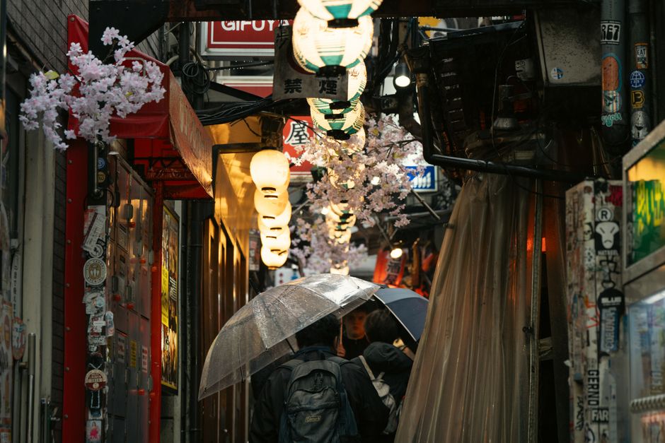 Explore a vibrant, rain-soaked alley in Tokyo with cherry blossoms and glowing lanterns.