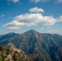 Spring Rhododendron Treks in Nepal: Late-Spring Plan