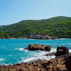 Tasmania in Summer: Cradle Mountain and Freycinet