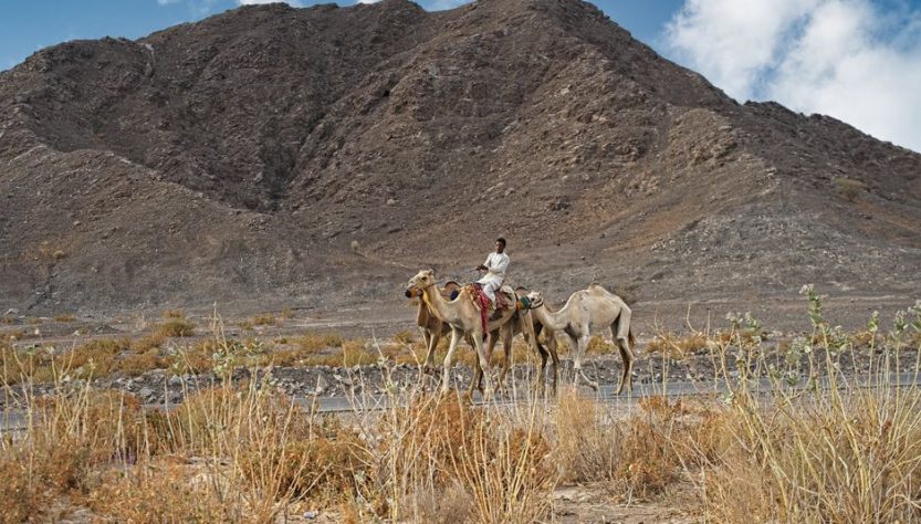 Visa Requirements Oman: Oman Visa Requirements: The 2026 Entry Rules That Trip People Up Visa Requirements Oman: Oman Visa Requirements: The 2026 Entry Rules That Trip People Up