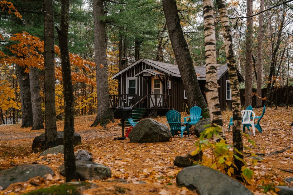 Chairs placed near cozy small residential house located in forest amidst fallen leaves in autumn