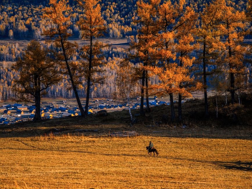 A lone rider travels on horseback through a picturesque autumn landscape surrounded by vibrant trees.